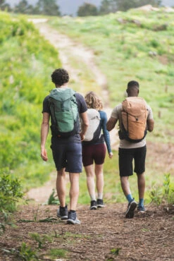 Quechua BACKPACK MH100 35L -Quechua kc8025c5b7f14d578800ed3ac1da984f9