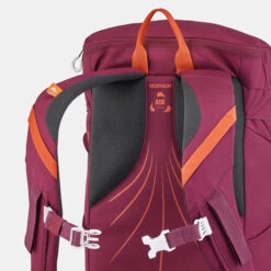 Quechua Mountain Hiking Backpack 20L -Quechua kdfbe06814bc85a81c9de5bafa66268a6