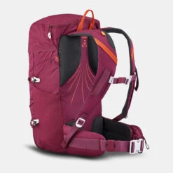 Quechua Mountain Hiking Backpack 20L -Quechua ke04685c5b48e87c952a405238ef10234