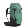 Quechua Mountain Walking 30 L Backpack MH500 -Quechua mountain walking 30 l backpack mh500