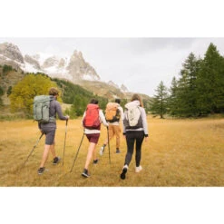 Quechua Mountain Walking 30 L Backpack MH500 -Quechua mountain walking 30 l backpack mh500 3